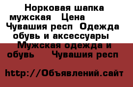 Норковая шапка мужская › Цена ­ 3 000 - Чувашия респ. Одежда, обувь и аксессуары » Мужская одежда и обувь   . Чувашия респ.